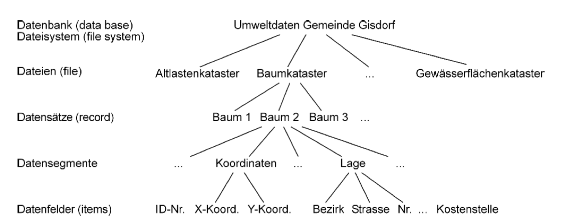 Hierarchie der Grundbegriffe bei Datenbanksystemen