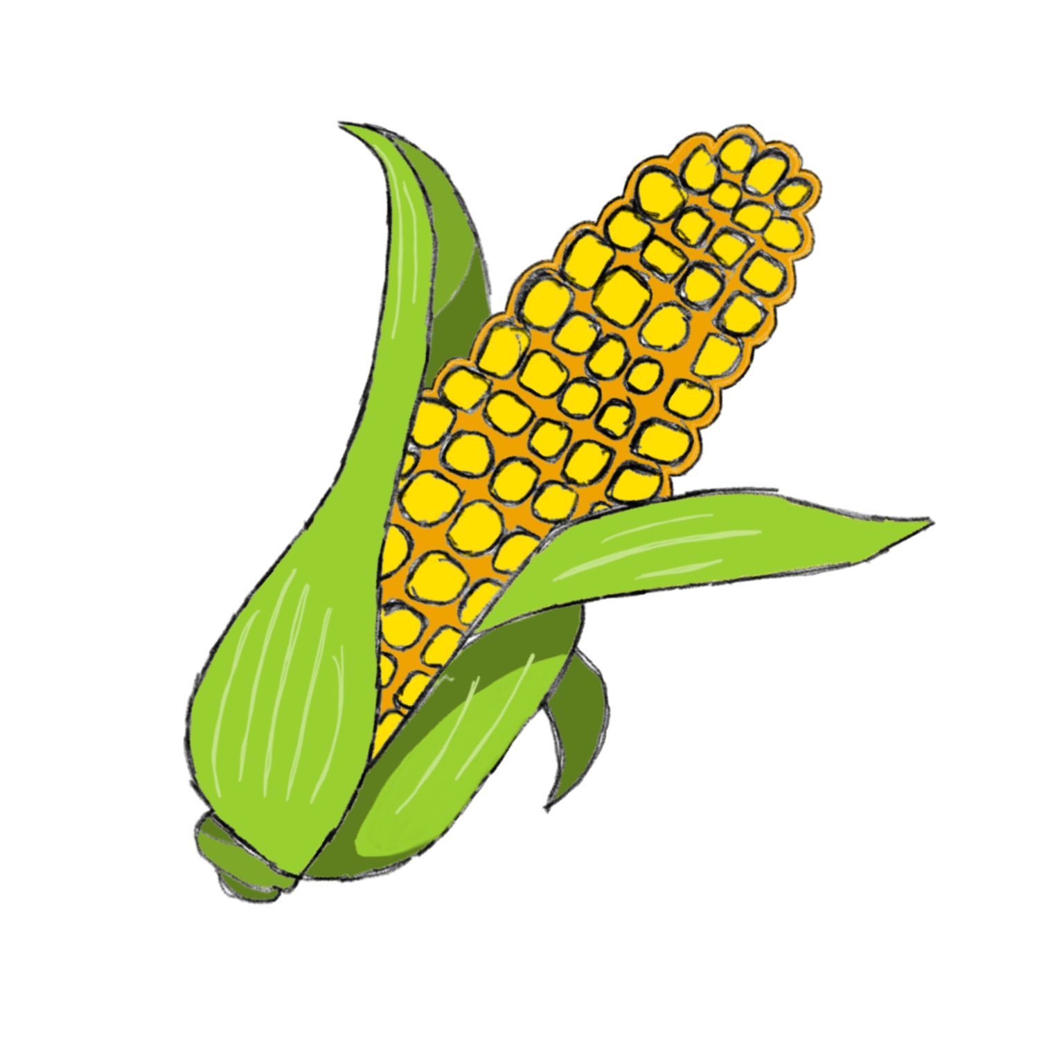 corn
